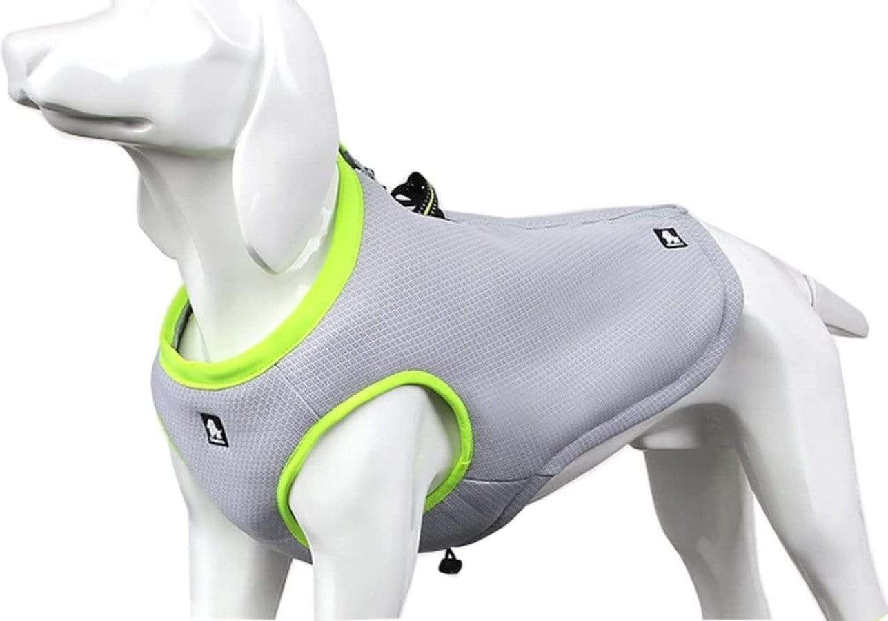 Dog Cooling Vest For Summer - RAPBLUE