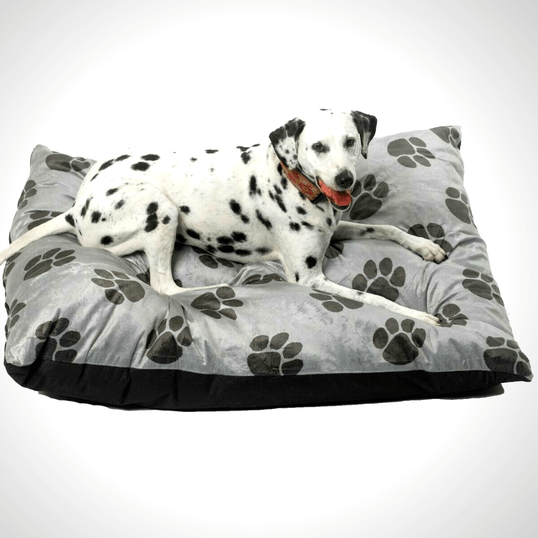 Luxury Dog Cushion Bed - RAPBLUE