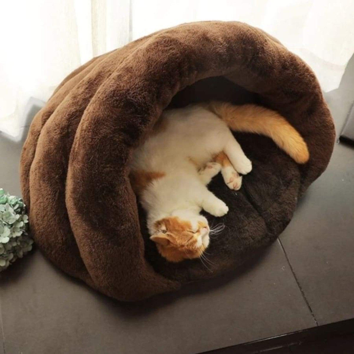 Cosy Heated Cat Bed - RAPBLUE