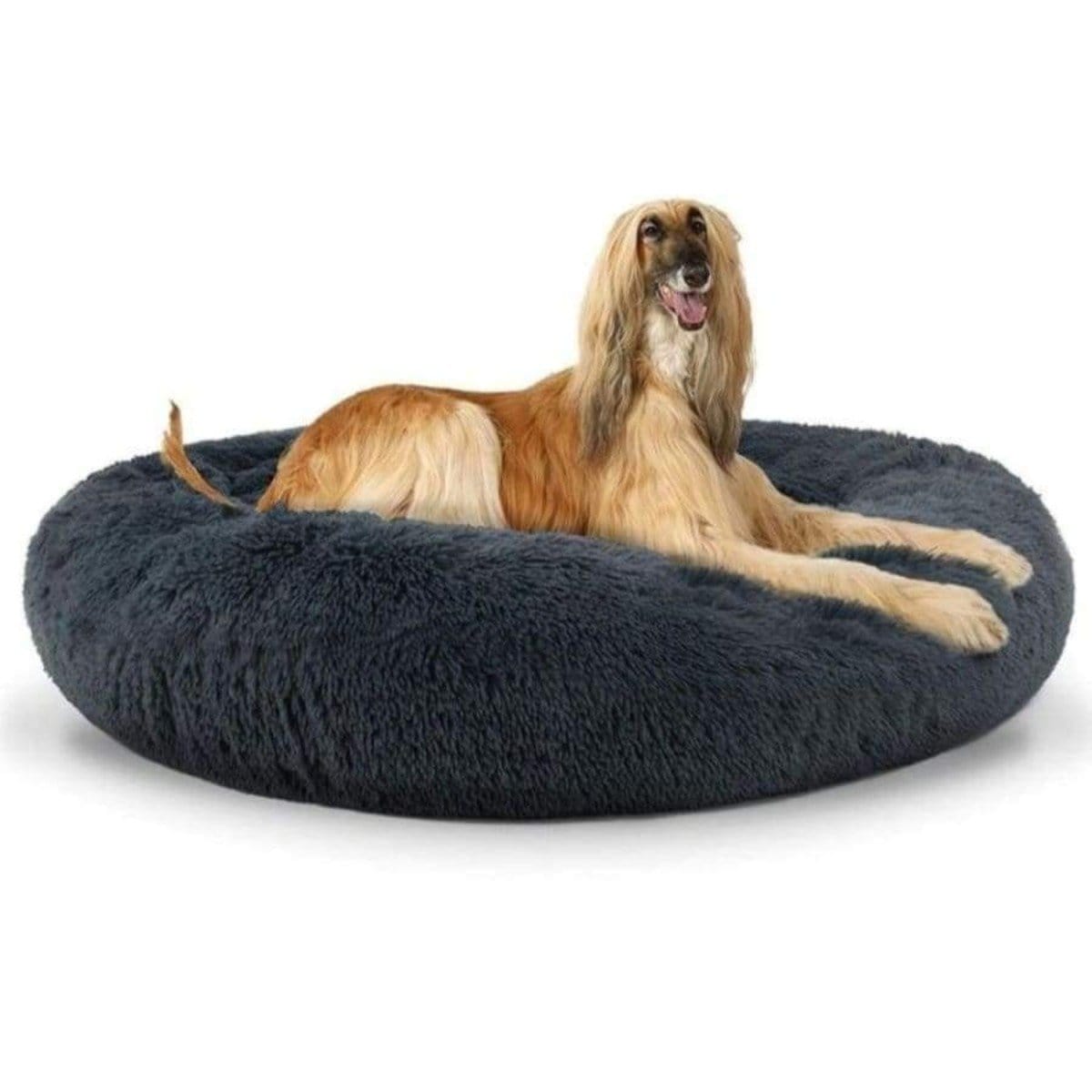 Soothing Dog Bed - RAPBLUE