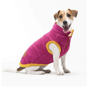 Warm Reversible Dog Winter Coat - RAPBLUE