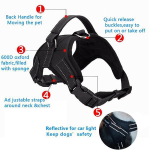 Dog Vest Harness - RAPBLUE