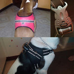 Dog Vest Harness - RAPBLUE