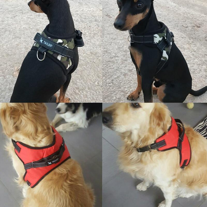 Dog Vest Harness - RAPBLUE