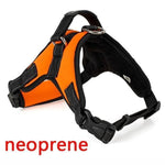 Dog Vest Harness - RAPBLUE