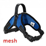 Dog Vest Harness - RAPBLUE