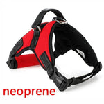 Dog Vest Harness - RAPBLUE