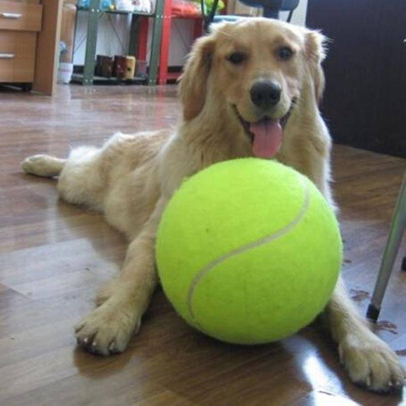 Giant Tennis Ball Toy for Dog Chewing Toy - RAPBLUE