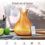 Aroma Oil Air Humidifier - RAPBLUE