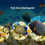 Portable Sonar Fish Finder - Wireless Fish Finder - RAPBLUE