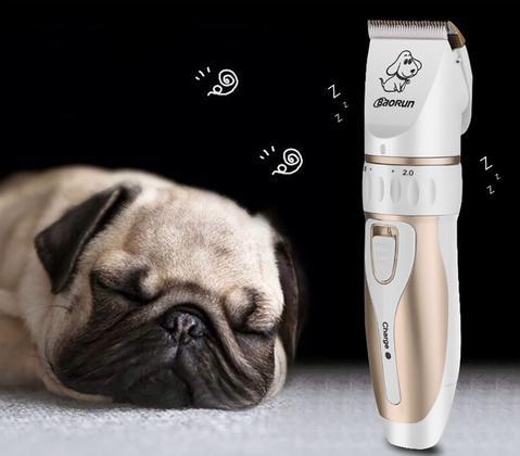 Rechargeable pet trimmer - RAPBLUE