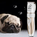 Rechargeable pet trimmer - RAPBLUE