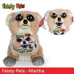 Feisty Funny Expression Pets Plush Toy - RAPBLUE