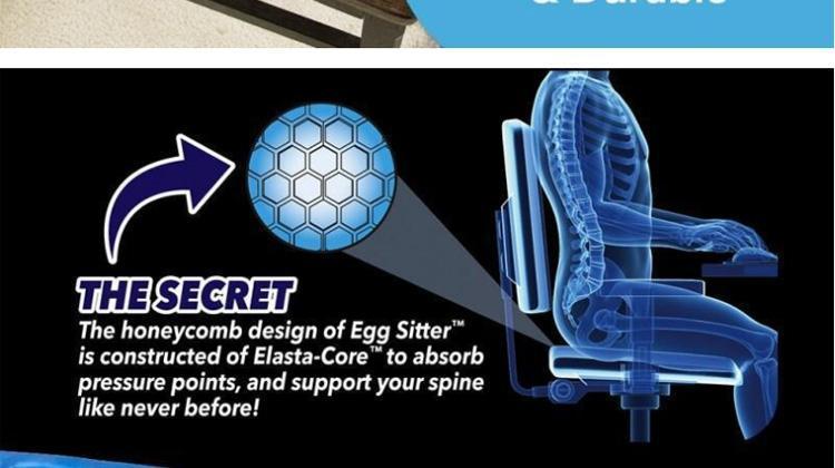 Egg Sitter Seat Cushion - Incredibly Flexible Seat Cushions - RAPBLUE