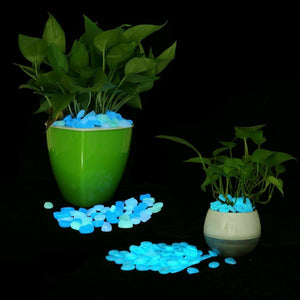 Glow In The Dark Garden Pebbles - RAPBLUE