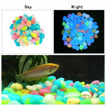 Glow In The Dark Garden Pebbles - RAPBLUE