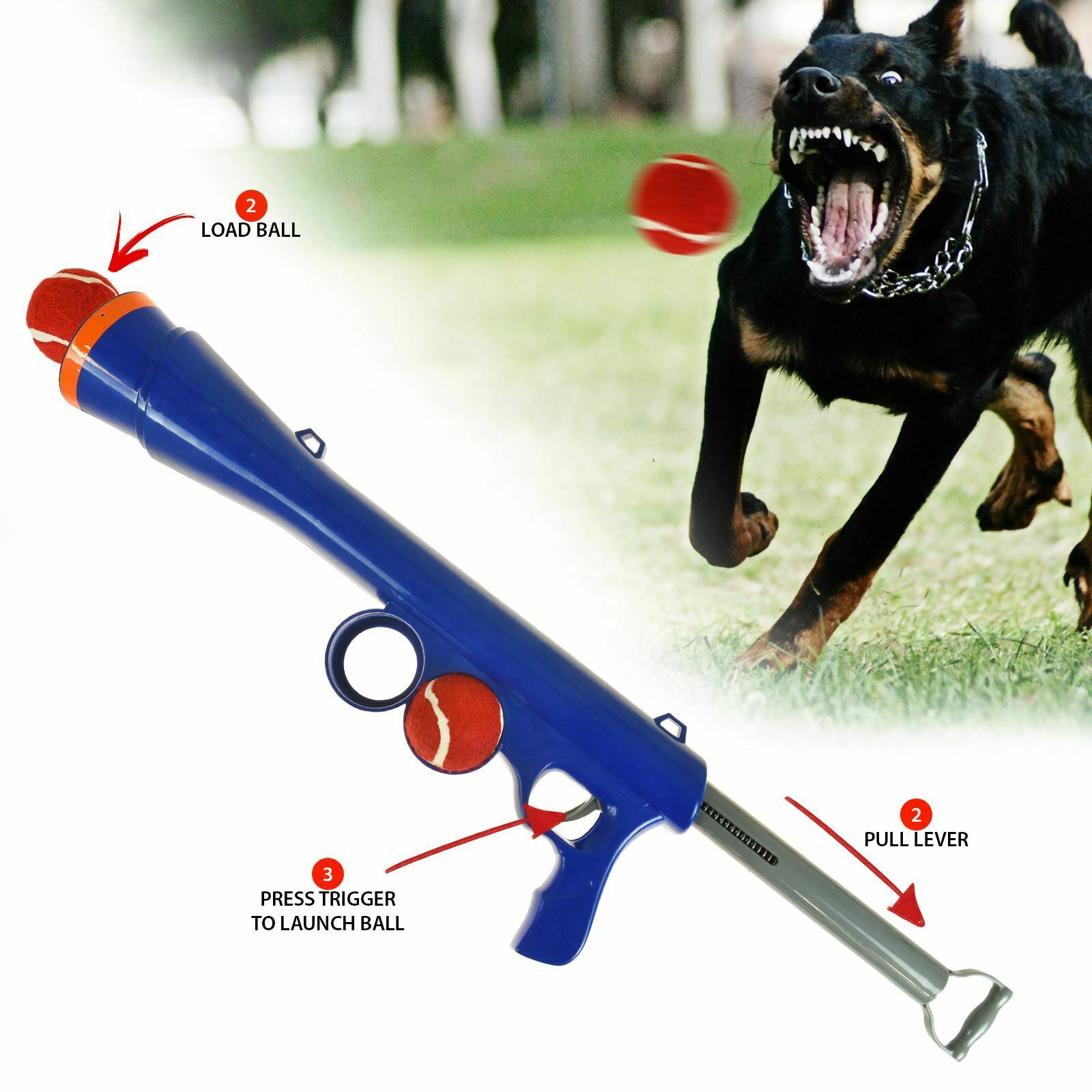 Dog Ball Cannon Launcher - RAPBLUE