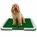 Dog Toilet Mat Indoor Restroom Training Grass Potty Pad - RAPBLUE