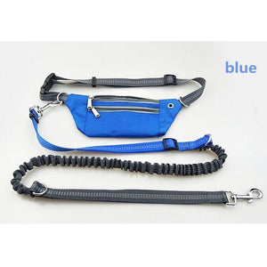 Hands Free Waist Dog Collar With Bag - RAPBLUE