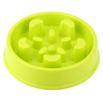 Anti-Gulping Pet Feeding Bowl - RAPBLUE