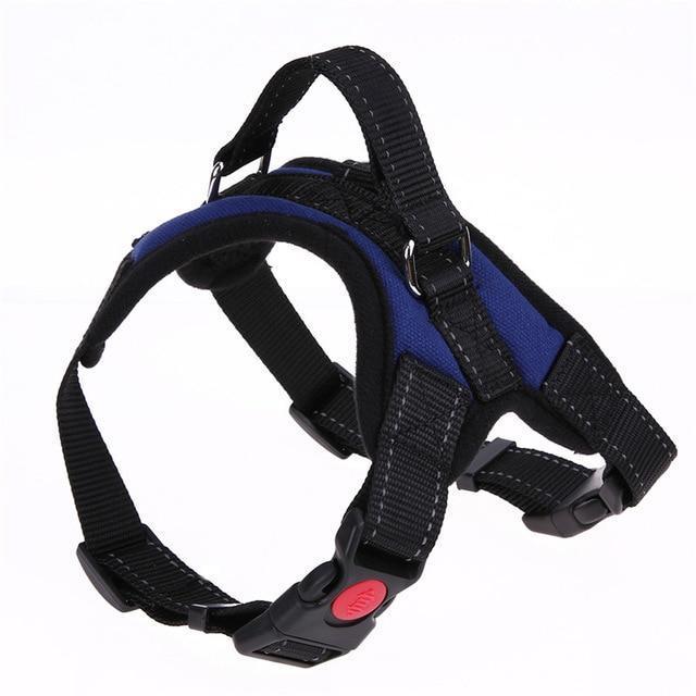 Adjustable Dog Harness - RAPBLUE