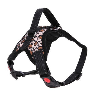 Adjustable Dog Harness - RAPBLUE