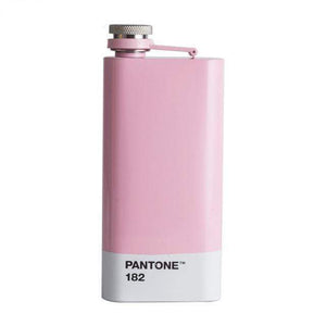 Stainless Steel Hip Flask (140 mL) - RAPBLUE